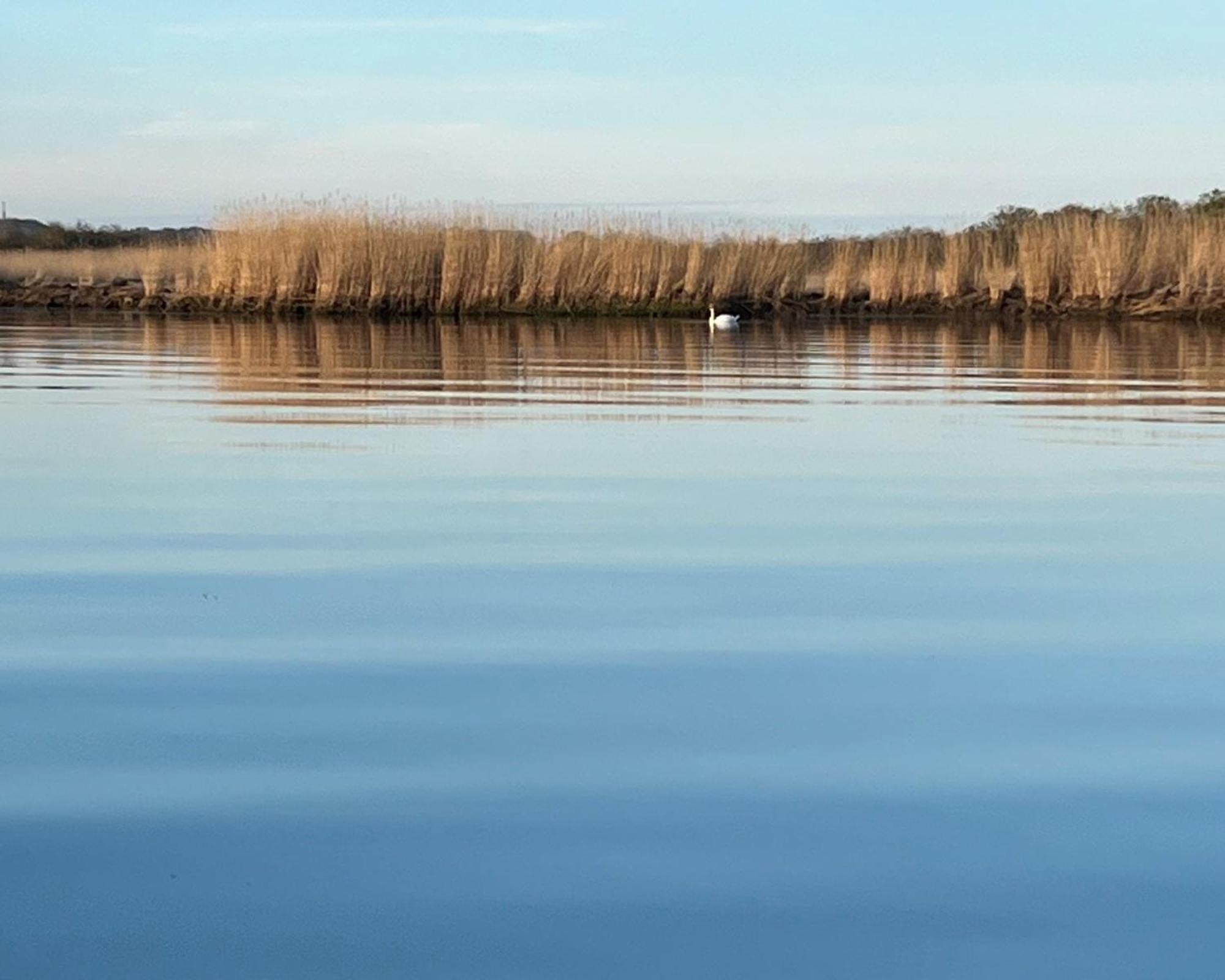 Hausboot Dotterbart Hotel Гагер Екстериор снимка
